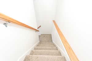 Stairs with carpet floors