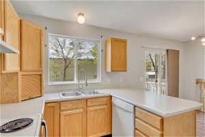 Kitchen with sink, dishwasher, light hardwood / wood-style flooring, and plenty of natural light
