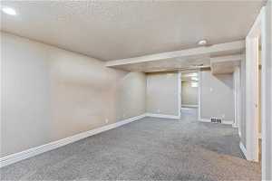 Basement featuring carpet and a textured ceiling