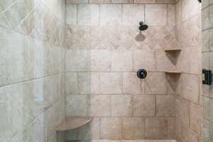 Interior details with tiled shower