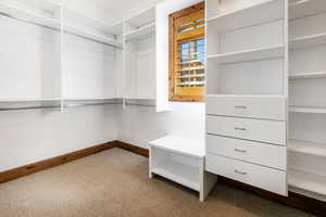 Walk in closet featuring carpet floors