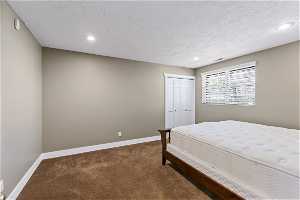 Lower level guest bedroom