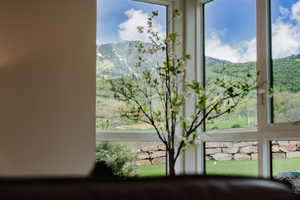 Detailed view of a mountainous background