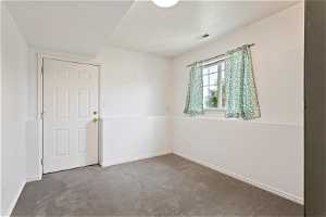 Lower Level Bedroom with Separate Entrance