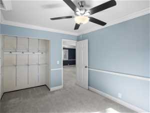 Unfurnished bedroom featuring ornamental molding, a closet, ceiling fan, and carpet floors