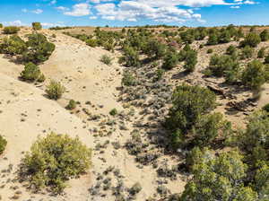 Beautiful Land Views - 40 Acres!