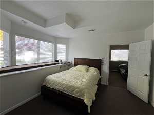 Basement Bedroom, featuring multiple windows for lighting