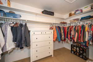 Spacious closet with carpet floors