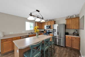 Kitchen with a center island, dark wood-type flooring, stainless steel appliances, and decorative light fixtures