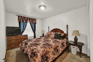 Bedroom featuring carpet