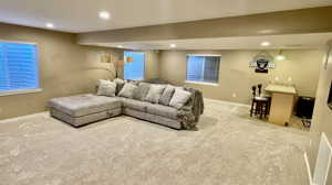 Living room featuring carpet