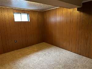 Basement bedroom with large closet