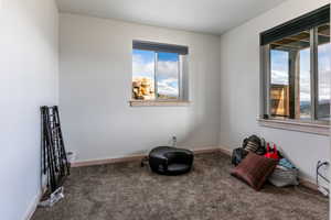 Living area featuring carpet flooring