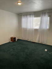 Empty room with dark carpet