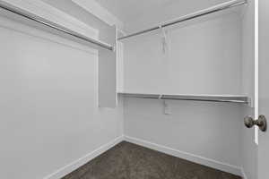 Walk in closet with carpet flooring