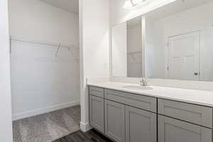 Bathroom with vanity and wood-type flooring