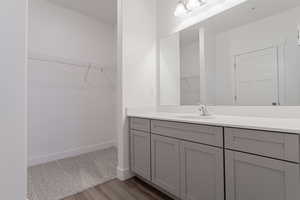 Bathroom featuring vanity and wood-type flooring