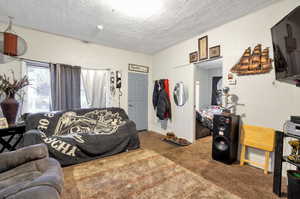 Carpeted living room with wood walls and a textured ceiling