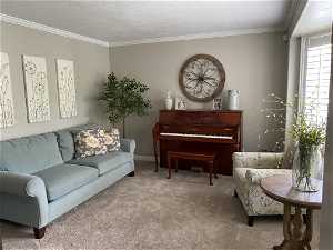 Living room featuring crown molding, carpet floors, and a textured ceiling