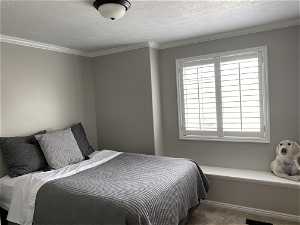 Bedroom with ornamental molding, carpet, and a textured ceiling