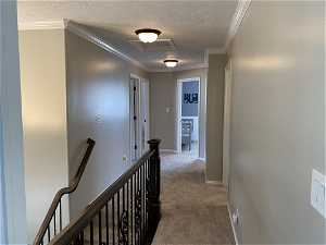 Hall featuring crown molding, carpet floors, and a textured ceiling