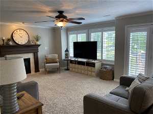 Carpeted living room featuring a wealth of natural light, ornamental molding, ceiling fan, and a fireplace