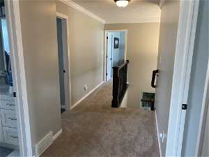 Hallway with a textured ceiling, dark carpet, and ornamental molding