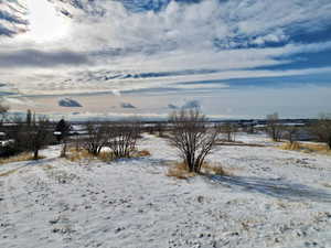 View of snowy yard