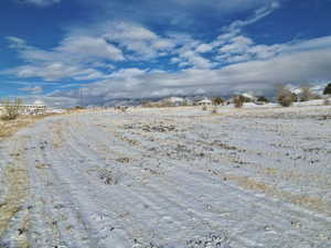 View of snowy yard