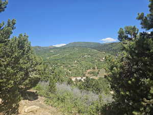 Mountain view with a heavily wooded area