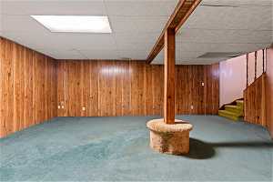 Basement with wood walls and carpet floors