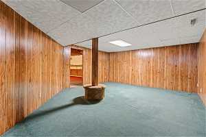 Basement with wood walls and carpet