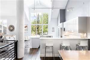 Kitchen featuring high vaulted ceiling, plenty of natural light, and stainless steel fridge