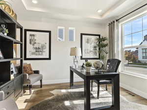 Office with hardwood / wood-style floors and a raised ceiling