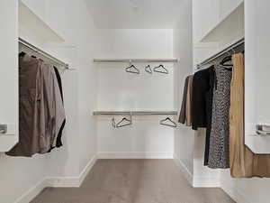 Walk in closet with carpet floors