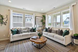 Living room featuring dark wood-type flooring