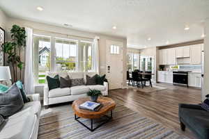 Living room with dark hardwood / wood-style floors, a textured ceiling, and a wealth of natural light