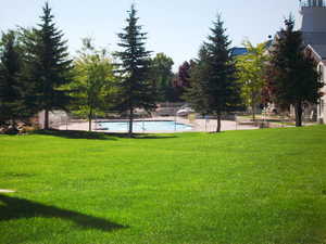 View of property's community featuring a pool, fence, and a yard
