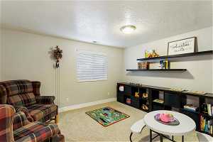 This is an EXTRA space off the long basement family room!