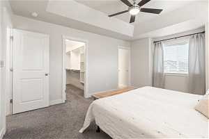Primary bedroom with a spacious closet, ceiling fan, a tray ceiling, carpet flooring, and a closet
