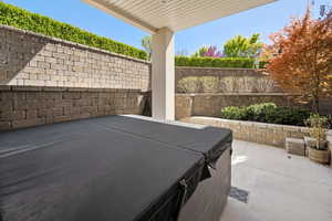 Patio with hottub