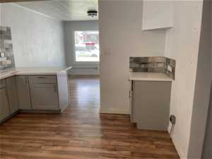 Kitchen featuring backsplash, gray cabinetry, and dark hardwood / wood-style flooring