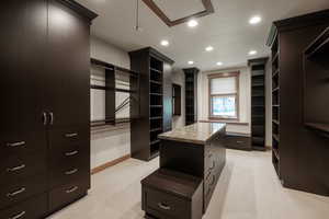 Spacious closet featuring light carpet