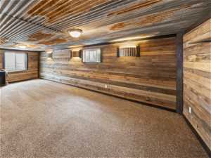 Basement featuring wood walls and carpet