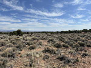 View of local wilderness