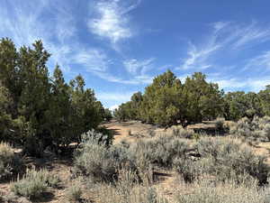 View of mother earth's splendor