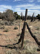 View of local wilderness with a rural view