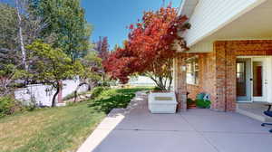 View of the rear patio