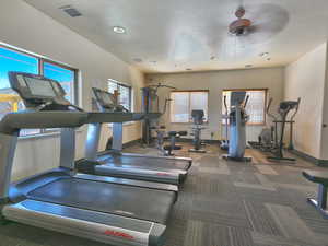 Workout area featuring ceiling fan and carpet flooring