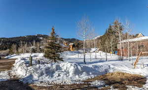 View of yard covered in snow